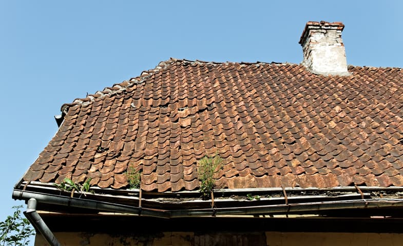 bay area roof restoration