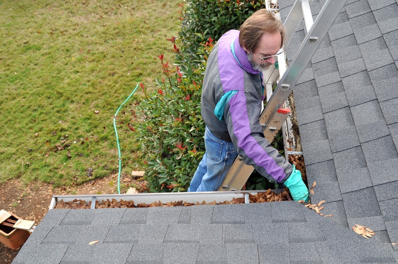 roof for autumn