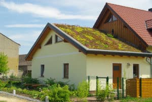 bay area green roof