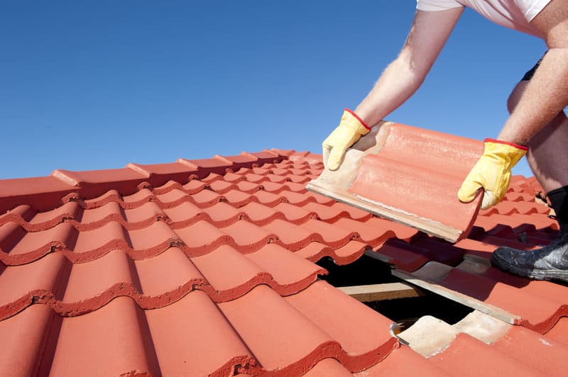 Routine Roof Maintenance Homeowners Need to Know | Central Bay Roof