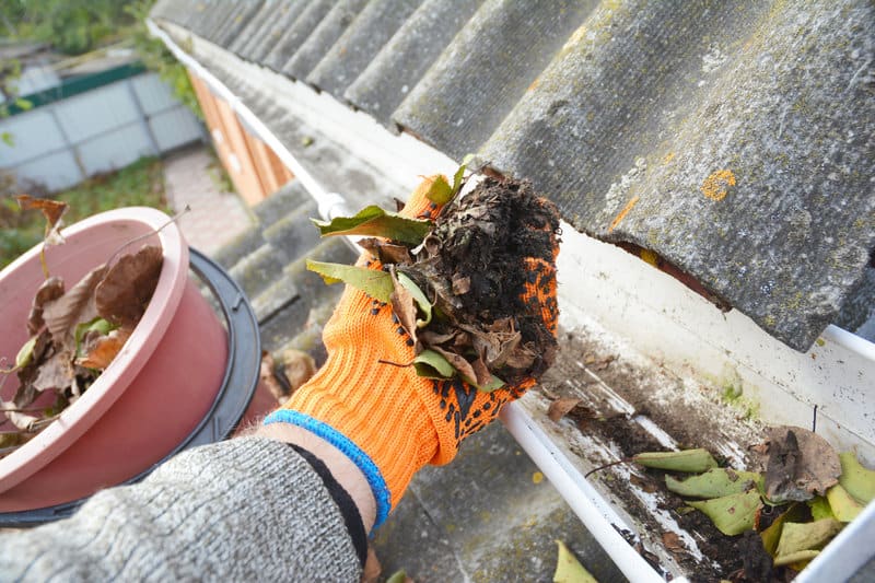 Gutter Cleaning Near You