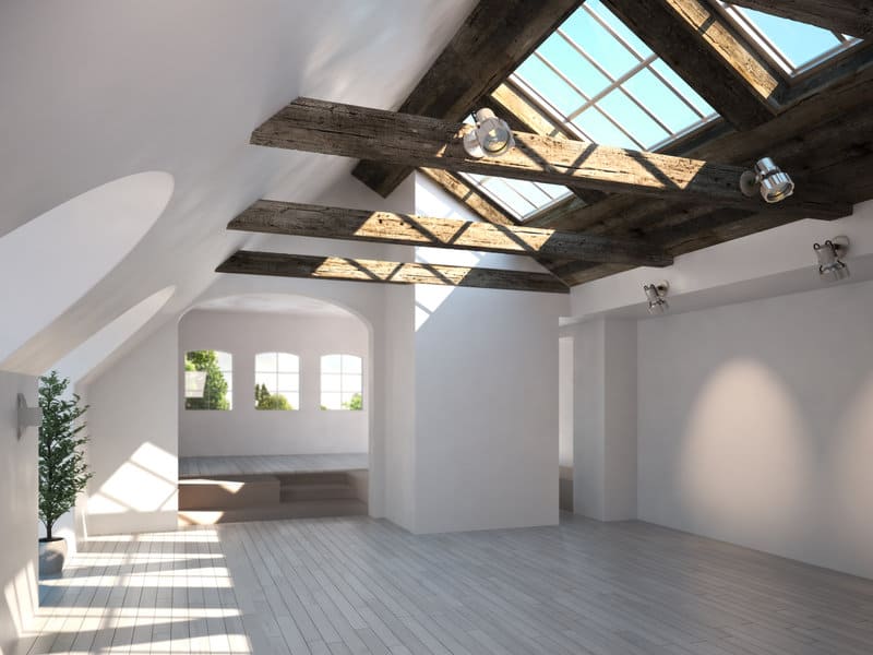 skylights and roof windows which is right for your home