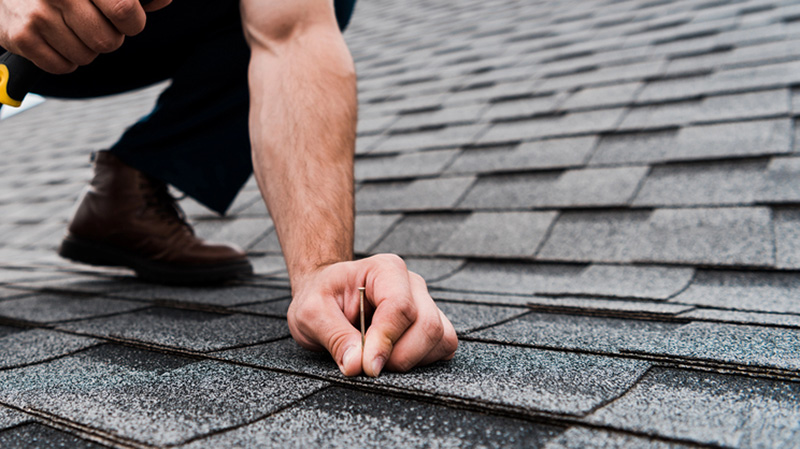 roof shingle replacement